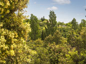 La Chadenède