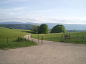 Chalet Guéroz