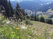 Chalet Les Plantagenêts