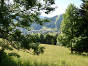 Chalet Les Plantagenêts