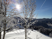 Chalet Les Plantagenêts