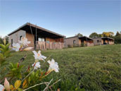 Auvergne Chalets Sancy
