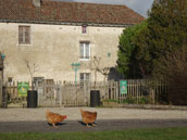 Ferme de Chante-Oiseau