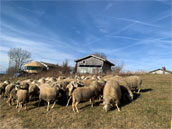 La Ferme au Chapeau vert