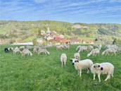 La Ferme au Chapeau vert