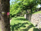 La Châtaigneraie et La Bergerie