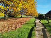 Gîte de la Châtaigneraie