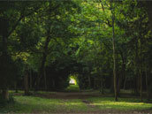 Château de Beaumont