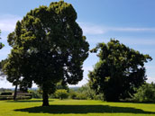 Château Le Tour