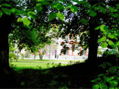 Château des Lys