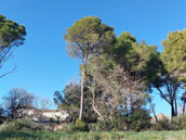 Château de Paulignan