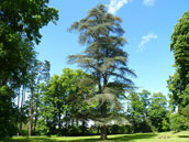 Château de Valclérieux Ceneric