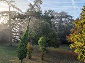 Château Villeneuve