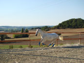 Gîtes et Auberge du cheval blanc