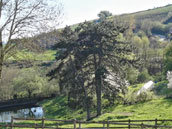 La Chèvre et le Paysan