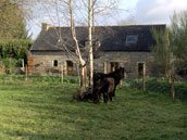 Domaine des Chimères