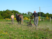 Domaine des Chimères