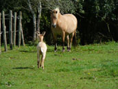 Domaine des Chimères