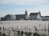 Aux Chouettes Lutins