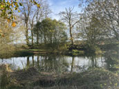 Clos de la Sansonnette