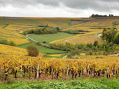 Le Clos du Trait
