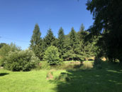 Le Clos du Meunier