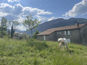 Domaine Terres Clôt du Jay