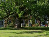 Cottages Orangerie Le Chêne