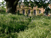 Cottages Orangerie Le Chêne