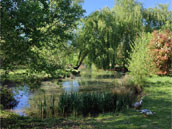 De couleurs et d'eau fraîche