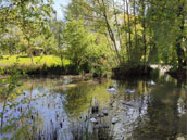 De couleurs et d'eau fraîche