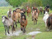 Gite de la Ferme