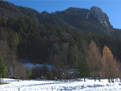 Le grand gîte des Perce Neige