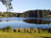 Domaine du Balbuzard