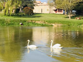 Le Domaine de la Clartière