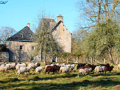 Domaine de la Cour