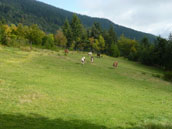 Domaine de Fontcouverte