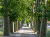 Domaine la Plume