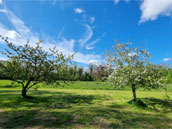 Domaine de Wolphus