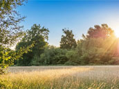 Domaine de Wolphus