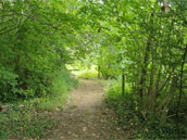 Domaine de Wolphus