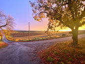 Domaine de La Blache