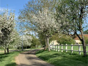 Domaine du Bouloy