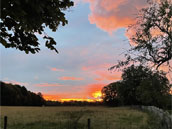 Domaine du Bouloy