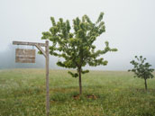 Domaine de Cugnac