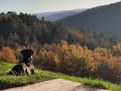 Domaine de Blys