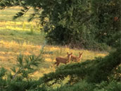 Domaine de La Gourre