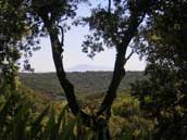 Domaine le Grand Belly