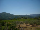 Domaine de la Jeanne