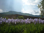 Domaine de la Jeanne